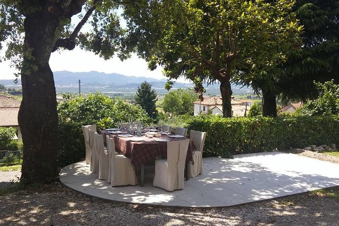Premium Prosecco Hills Winery Tour with Prosecco Tastings & Food - Meeting the winemaker at a family estate