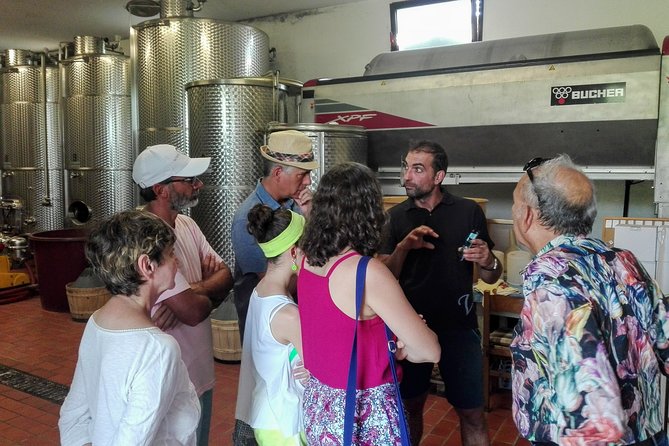 Premium Prosecco Hills Winery Tour with Prosecco Tastings & Food - Paolo’s role makes the day more personal