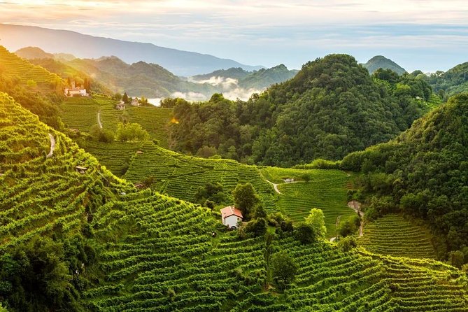 Premium Prosecco Hills Winery Tour with Prosecco Tastings & Food - Is $247.39 a fair price?