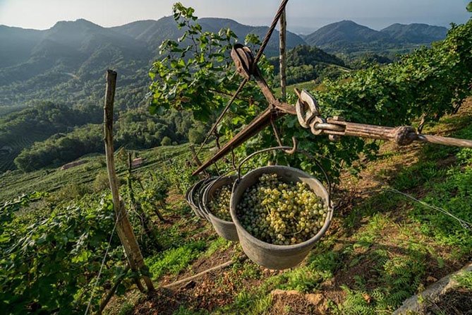 Premium Prosecco Hills Winery Tour with Prosecco Tastings & Food - The ride to Valdobbiadene and Conegliano