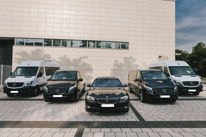 Private Arrival Transfer: Venice Marco Polo Airport - Key points to know before booking