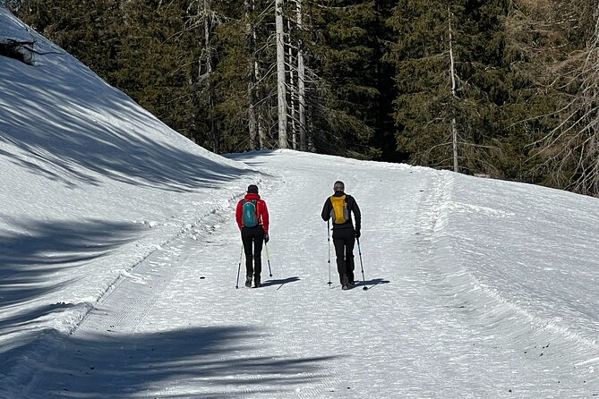 Private Dolomites Winter Day Tour from Venice - The mountain hut and cable-car option