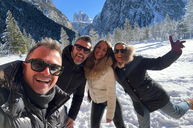 Private Dolomites Winter Day Tour from Venice - What 633.20 dollars per person buys you