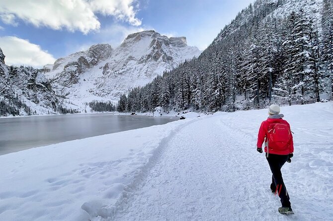 Private Guided Tour in the Dolomites from Venice - Auronzo di Cadore and the first taste of the mountains