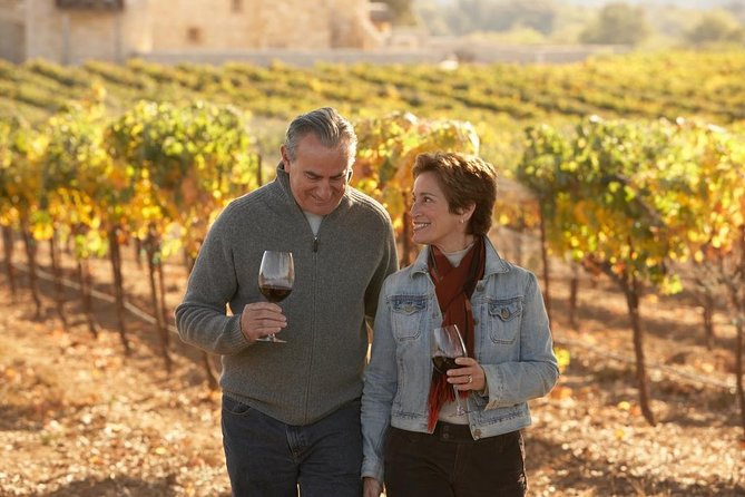 Private Half Day Wine Tasting tour: Road Of The Doges - Cheese, meats, bread, and a generous pour