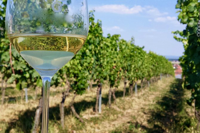 Private Half Day Wine Tasting tour: Road Of The Doges - Is $1,049.46 per person a fair price?