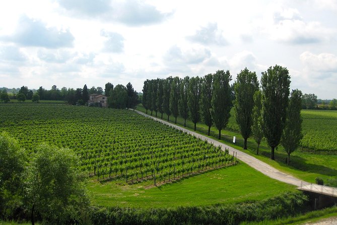 Private Half Day Wine Tasting tour: Road Of The Doges - What the return to Venice feels like