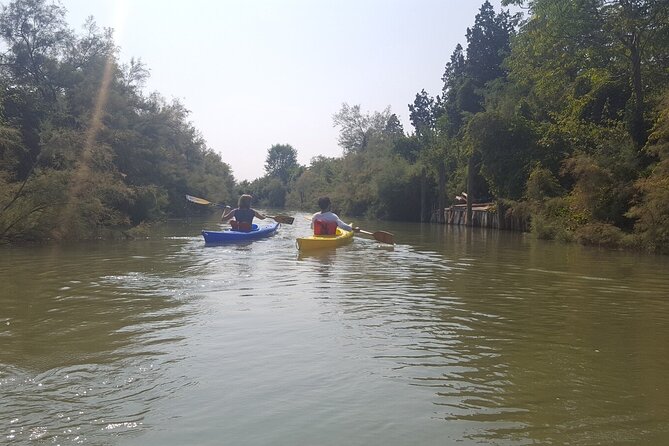 Private Kayak Tour in the Venetian Lagoon - Birdlife, fish, and a working lagoon