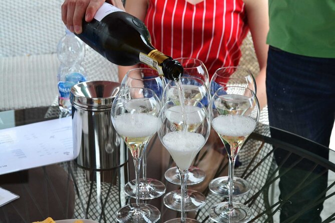 Private Tour: Prosecco Wine Tasting Day Trip with Lunch from Venice - Key points at a glance