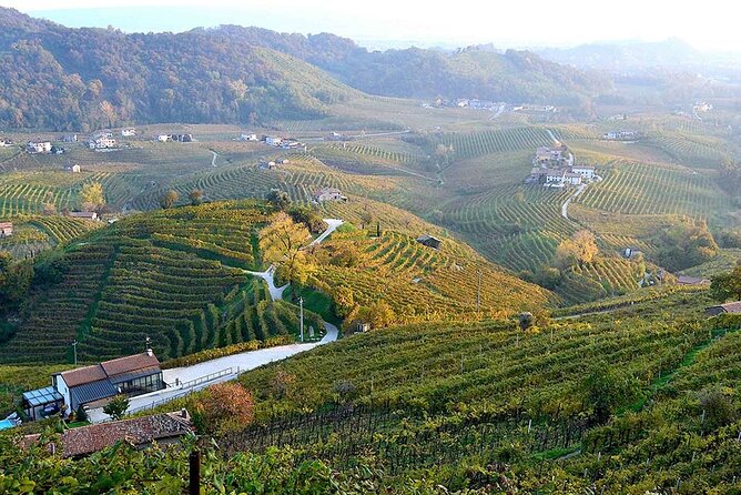Private Tour: Prosecco Wine Tasting Day Trip with Lunch from Venice - What the private format is really worth