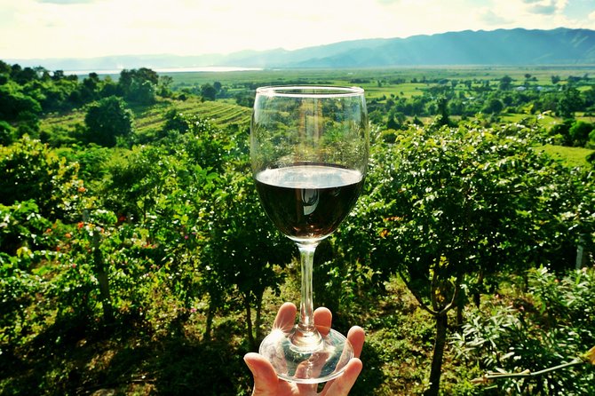 Private Valpolicella Day Trip from Venice: Wine Tasting and Verona - Three hours to make your own Verona