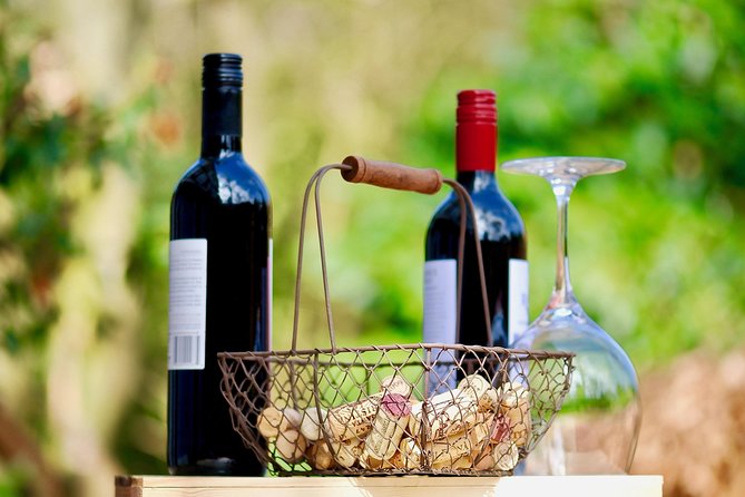 Private Valpolicella Day Trip from Venice: Wine Tasting and Verona - The driver-guide makes a real difference