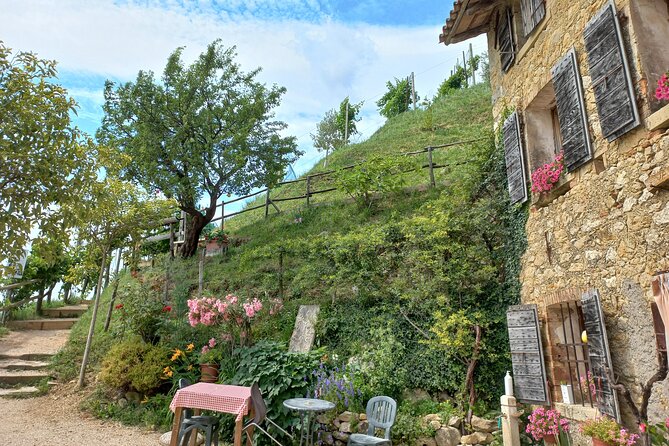 Prosecco Hills Day Trip from Venice & Treviso: 2 Wineries - Key points to know before booking