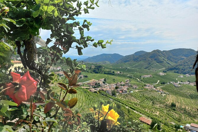 Prosecco Hills Day Trip from Venice & Treviso: 2 Wineries - The Prosecco Hills as the main attraction