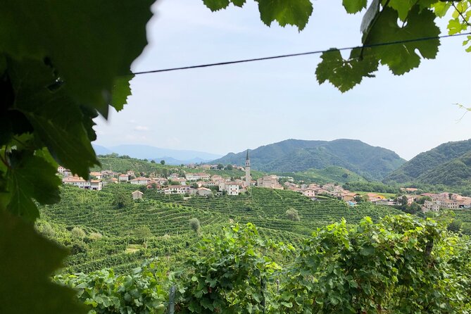 Prosecco Hills Wine and Cheese Gourmet Discovery - How the guides shape the experience