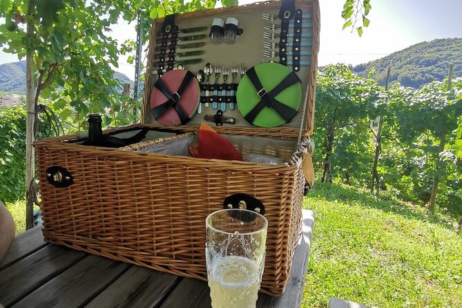 Prosecco Hills Wine and Cheese Gourmet Discovery - Who should book this Prosecco day trip?