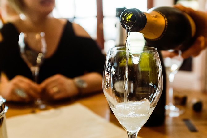 Prosecco Wine Tour (all-inclusive full day with lunch and expert wine guide) - What the winery visits can include