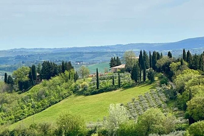 Prosecco Wine Tour. Full day from Venice - Veneto Food Makes the Tasting More Complete
