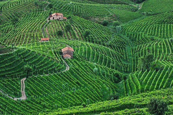 Prosecco Wine Tour. Full day from Venice - Ricardo’s Role During the Day