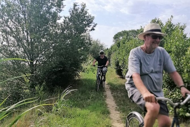 Sant’Erasmo Bike Tour in Venice’s Green Island - Northern Sant’Erasmo and the distant islands
