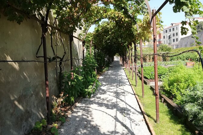 Secret Gardens of Venice Walking Tour - What the two-hour format really gives you