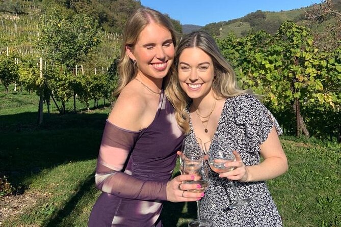 Small Group Prosecco Experience from Venice - Boutique Winery - Is $169 a fair price?