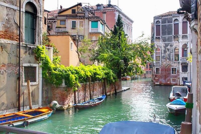 Tasty Street Food Tour of Venice City Center with Cicchetti & Local Specialties - What you are likely to eat
