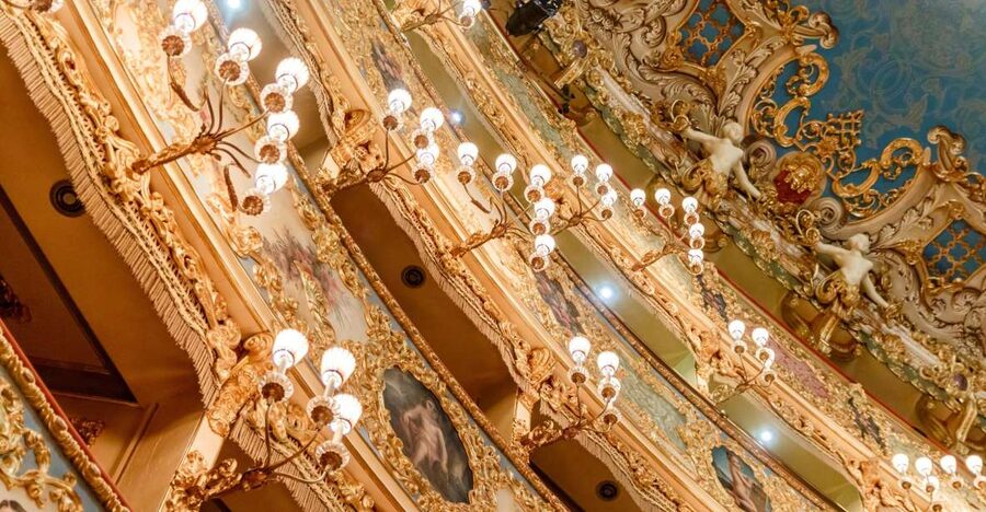 The Majestic Teatro La Fenice: Guided Tour in Venice - Entering Teatro La Fenice in the heart of Venice
