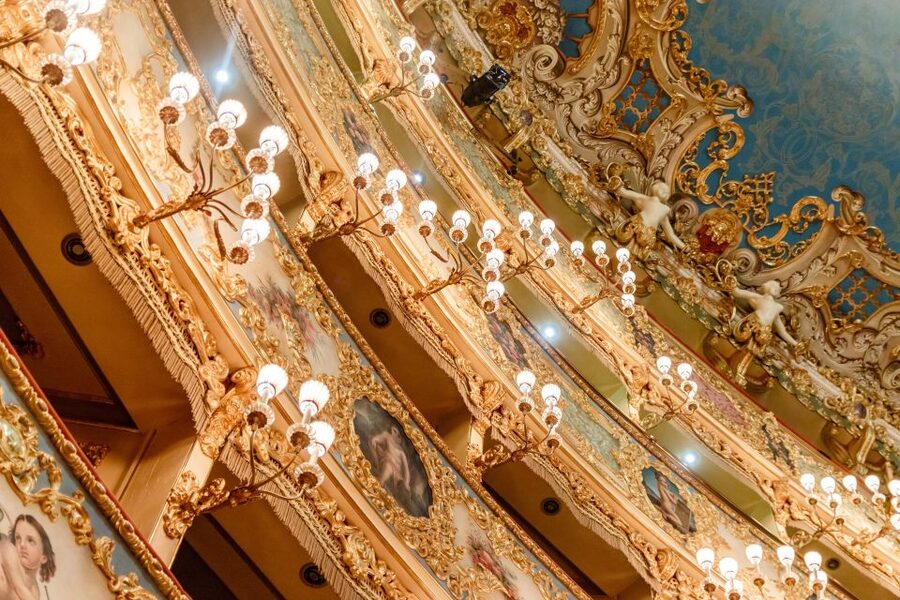 The Majestic Teatro La Fenice: Guided Tour in Venice - What the guide adds to the hour