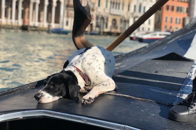 The Secrets of Venice - Private Tour - Misericordia and the character of old Venice