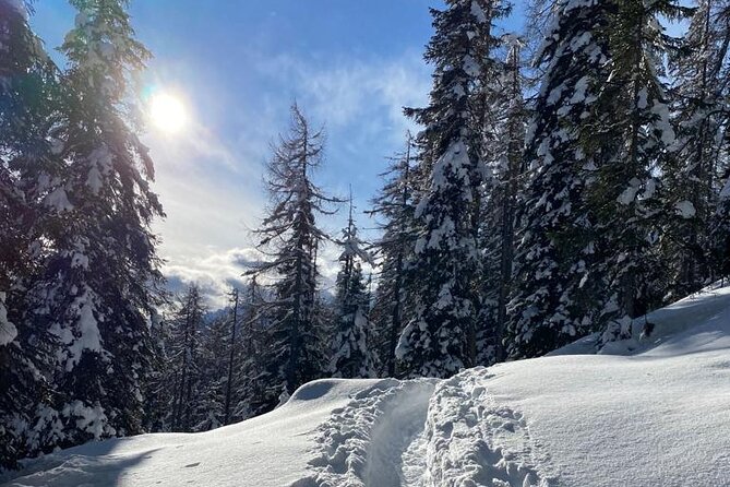UNESCO Dolomites great expedition from Venice by Yellowboot - Tre Cime di Lavaredo or Misurina Lake