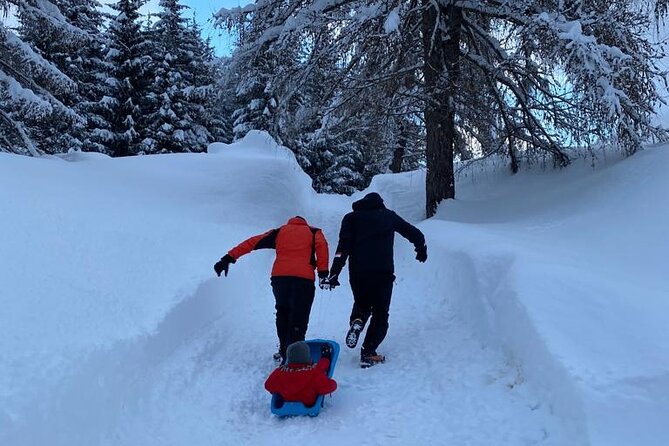 UNESCO Dolomites great expedition from Venice by Yellowboot - What the $290.23 price really buys