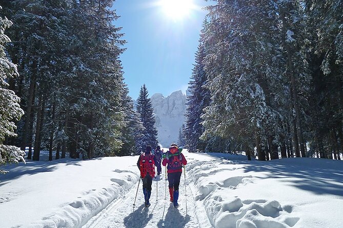 UNESCO Dolomites great expedition from Venice by Yellowboot - The early train from Venice to Conegliano