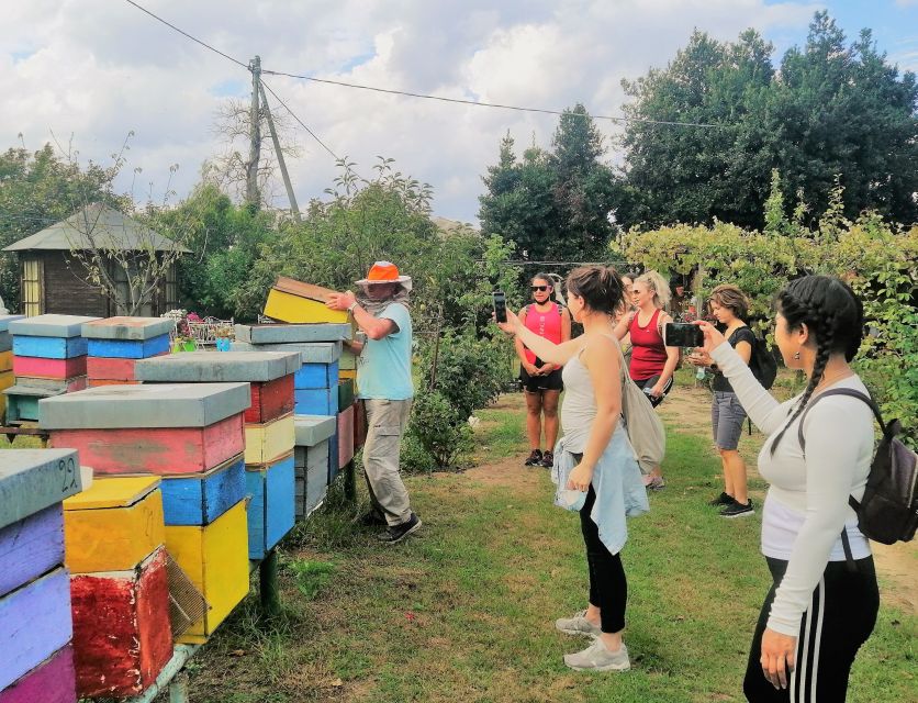 Venice: Bike Tour Honey & artichockes on Sant’Erasmo Island - Key points to know before you book