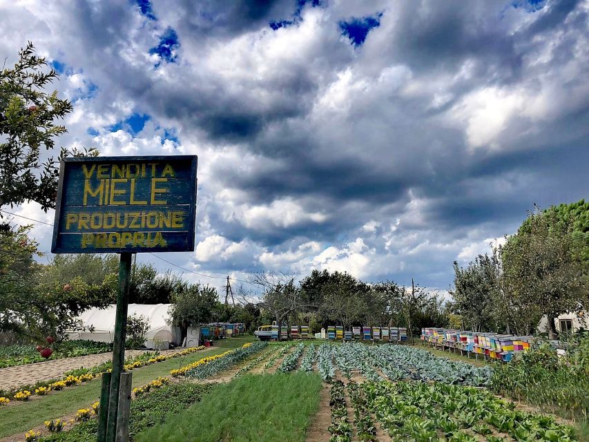 Venice: Bike Tour Honey & artichockes on Sant’Erasmo Island - Why Sant’Erasmo makes a fine break from central Venice