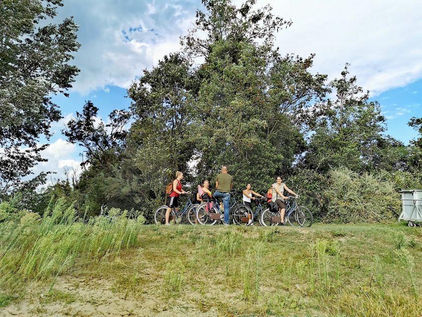 Venice: Bike Tour Honey & artichockes on Sant’Erasmo Island - What the $165.40 price includes