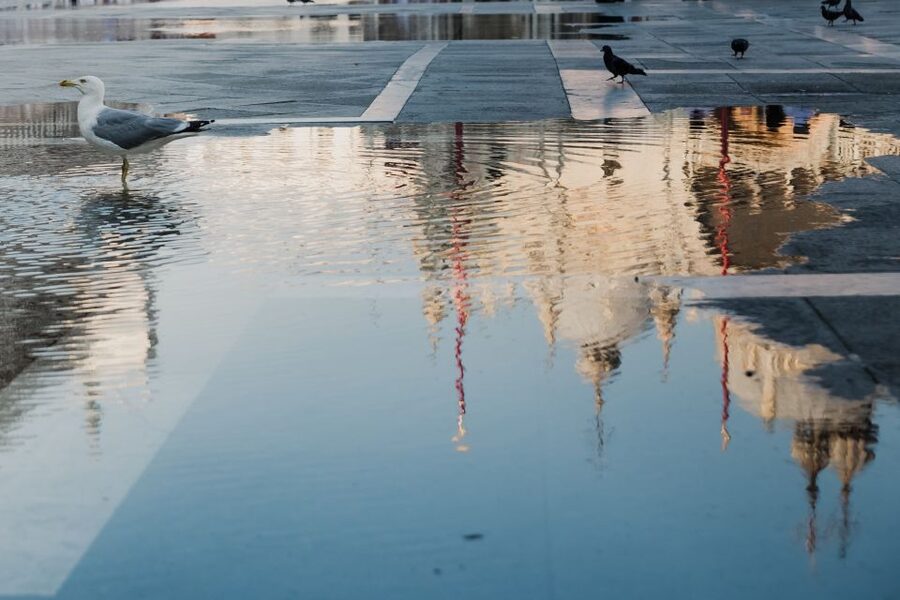 Venice: City Tour and Murano Glass Experience - The Murano showroom and the sales pressure