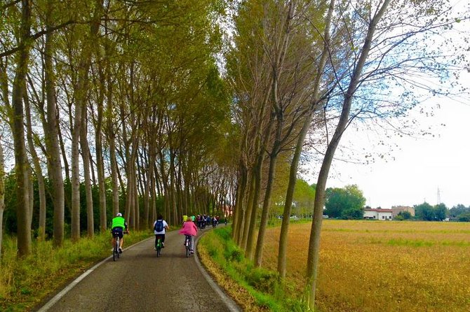 Venice Countryside Bike Tour - La Malcontenta and Palladio’s Villa Foscari