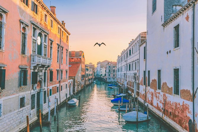 Venice Guided Walking tour - Is $38.13 a fair price for this Venice walk?
