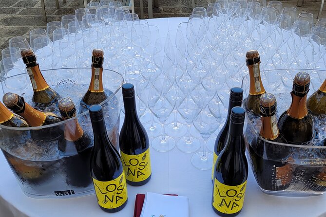 Venice like a local: Vini and Cichetti at Liuba and Hugo's home - Is $102.41 a fair price?