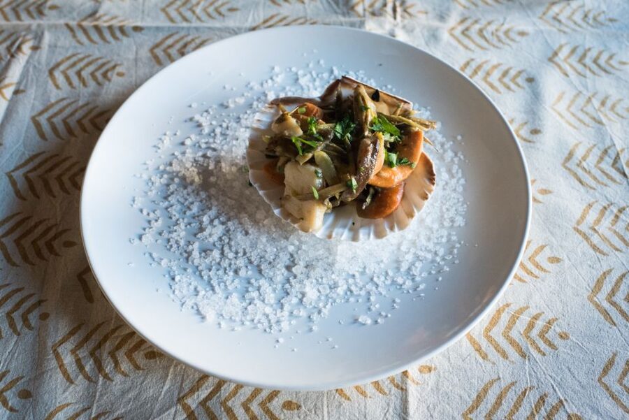 Venice: Market Tour and Meal at a Local's Home - Key points to know before booking