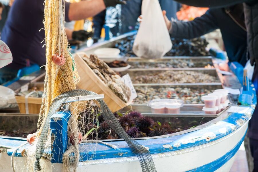 Venice: Market Tour and Meal at a Local's Home - What you take home besides the meal