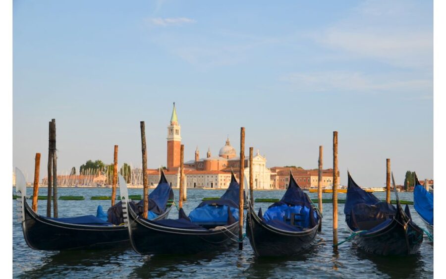 Venice: Morning Walking Tour with Local Guide - St. Mark’s Square and Bacino Orseolo