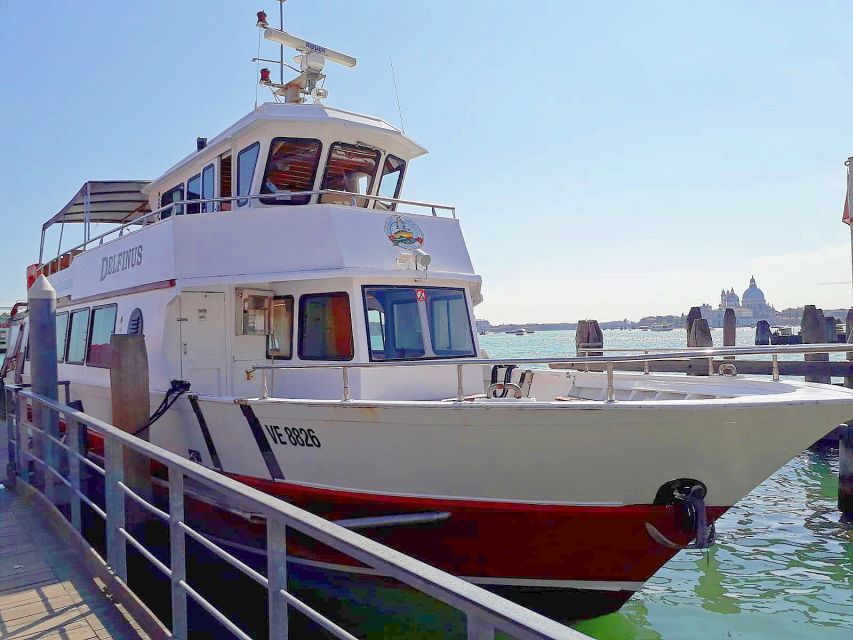 Venice: Murano & Burano Panoramic Boat Tour w/ Glassblowing - The panoramic boat across the Venetian Lagoon