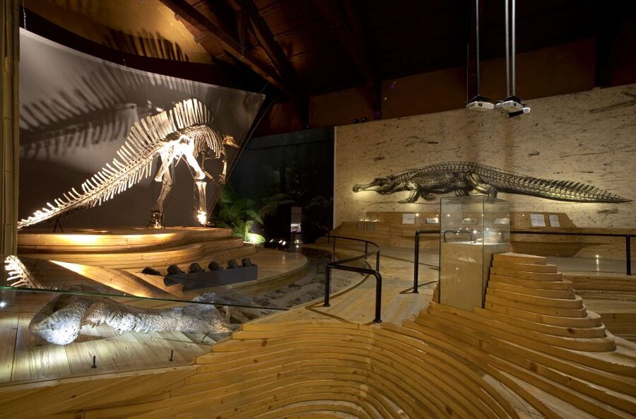 Venice: Natural History Museum Entry Ticket - A Grand Canal entrance with a quieter mood