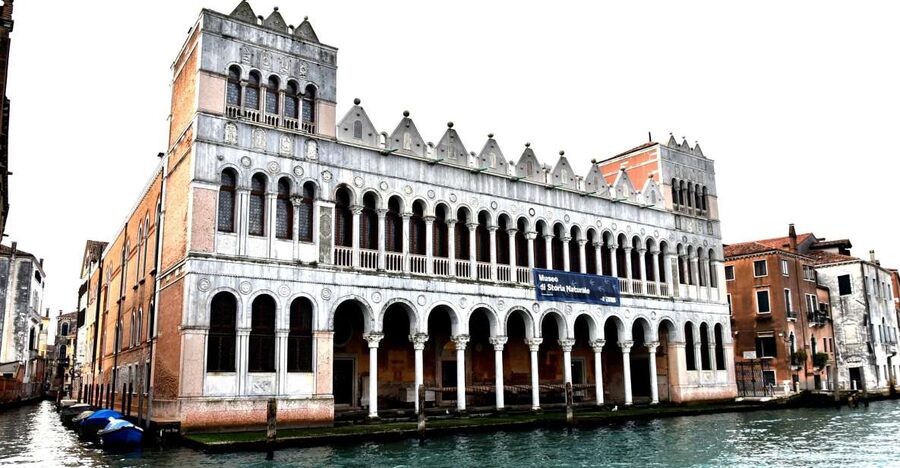 Venice: Natural History Museum Entry Ticket - Who will enjoy this museum most?