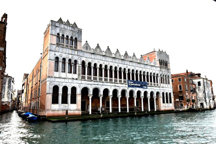 Venice: Natural History Museum Entry Ticket - Start with the story of life on Earth