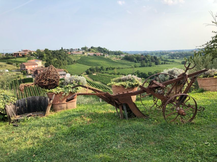Venice: Prosecco Hills Wineries Tour with Tastings and Lunch - The first winery: how Prosecco is made