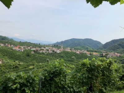 Prosecco Hills Wineries Tour with Tastings and Lunch