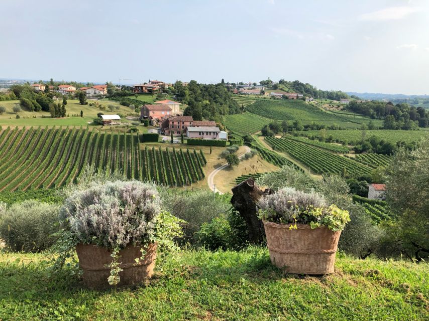 Venice: Prosecco Hills Wineries Tour with Tastings and Lunch - Aperitivo among the vineyards